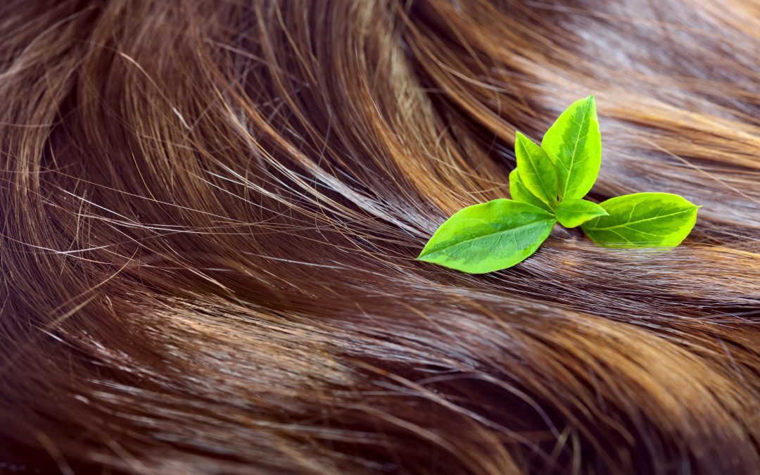 En este momento estás viendo Los 4 mejores aceites naturales para tu cabello